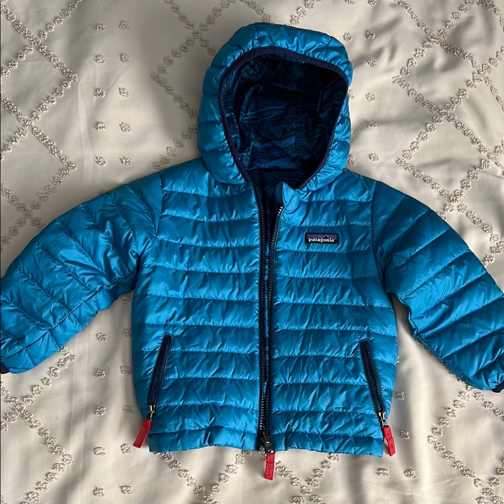 Patagonia Vibrant Blue Hooded Jacket